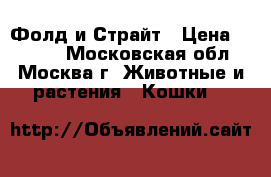 Фолд и Страйт › Цена ­ 5 000 - Московская обл., Москва г. Животные и растения » Кошки   